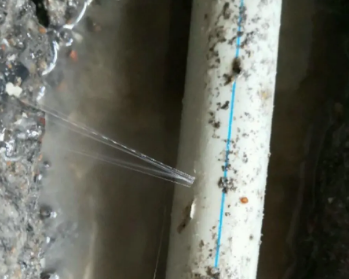 顺河卫生间测漏水多少钱