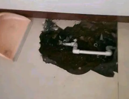 顺河卫生间测漏水多少钱