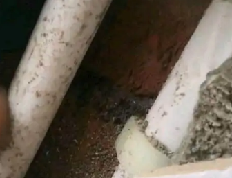 顺河卫生间测漏水哪家好