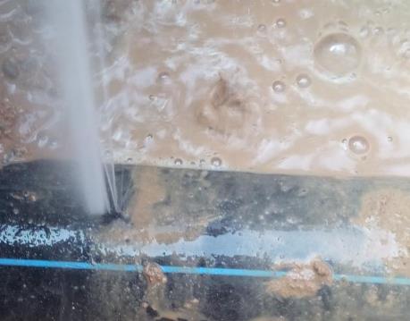 顺河卫生间防水哪家好
